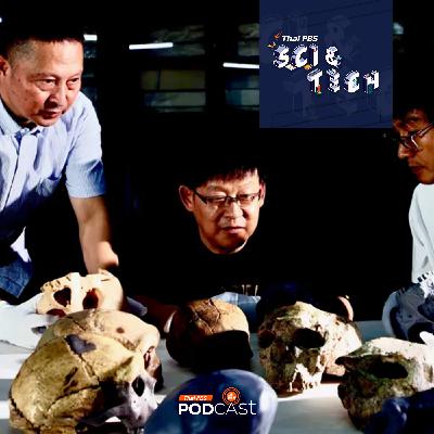 Sci & Tech EP. 875: หลักฐานใหม่เปลี่ยนมุมมองเรื่องวิวัฒนาการมนุษย์
