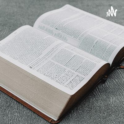 Frases con traducción en italiano y alemán.