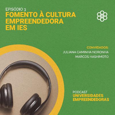 Fomento à Cultura Empreendedora em IES Fomento à Cultura Empreendedora em IES
