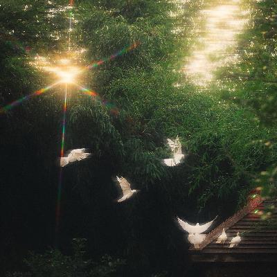 84.幽默：人际关系的万能胶水？