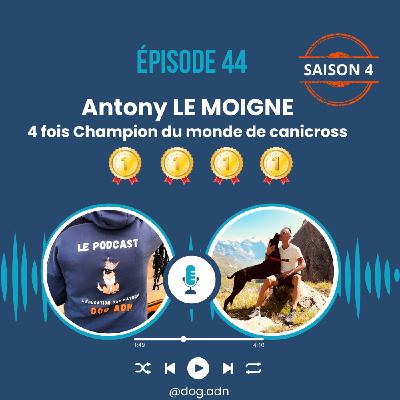 #43 Antony LE MOIGNE, Quadruple champion du monde de canicross