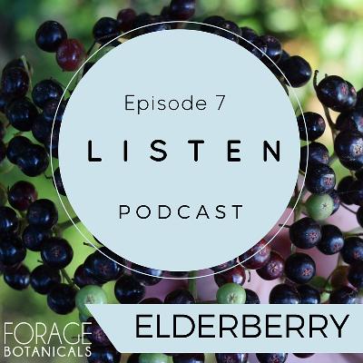 E07 Elderberry