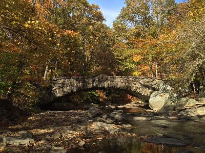 Get Out There: Your guide for leaf peeping around the D.C. region Get Out There: Your guide for leaf peeping around the D.C. region