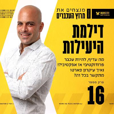פרק 16 - דילמת היעילות