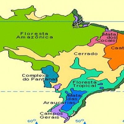 Vegetação do Brasil 6° ano Vegetação do Brasil 6° ano