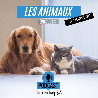 193 - Les animaux de compagnie (avec Aurélien) 1/2