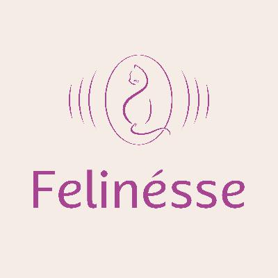 Julie Anne Lee: From Hidden Toxins to Holistic Healing for Cats, People & the Planet