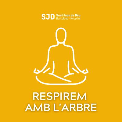 Respirem amb l'arbre - Meditacions