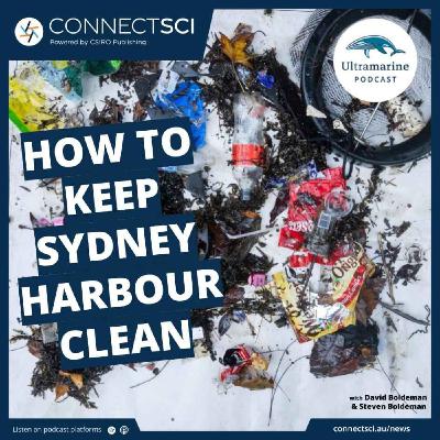 How to keep Sydney Harbour Clean