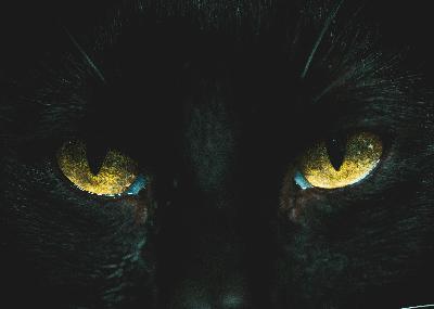 Looking my shadow in the eye Looking my shadow in the eye