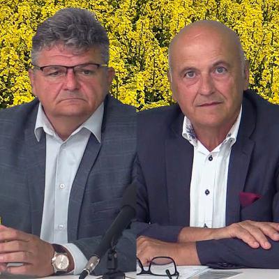 Žatva 2025: Očakávané úrody obilnín a olejnín a vývoj cien na trhu s komoditami