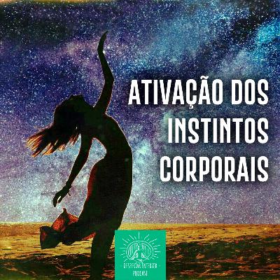 Meditação 05 - Centro de Inteligência Instintivo