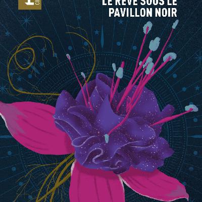 Attention interview passionnante de Jeanne-A Debats sur son rapport à l'écriture et sur Le Rêve sous le Pavillon noir.