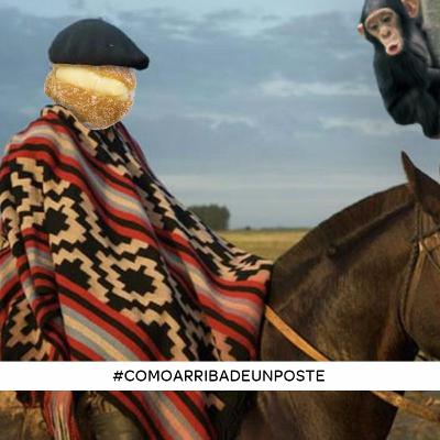 #8 #comoarribadeunposte