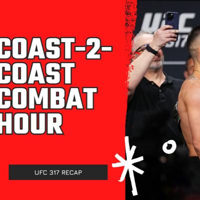 Looking Back at UFC 317