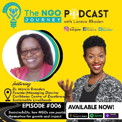 Sustainability, how NGOs can position themselves for growth and impact.