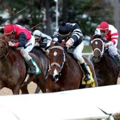 Teuflesberg outruns Hard Spun, English Channel breaks Gulfstream record, Steppenwolfer