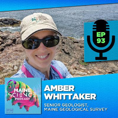 Amber Whittaker (geology) Amber Whittaker (geology)