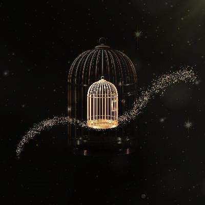 ציפור צהובה – מאת שלומית כהן-אסיף