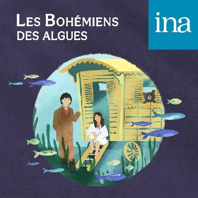 Les Bohémiens des algues – Épisode 5/14 Les Bohémiens des algues – Épisode 5/14