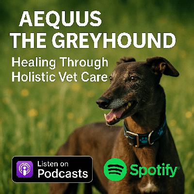 Aequus the Greyhound: Healing Through Holistic Vet Care