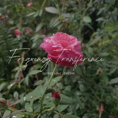 SLL S6: Frequency Transference - How Not To Lose Yourself SLL S6: Frequency Transference - How Not To Lose Yourself