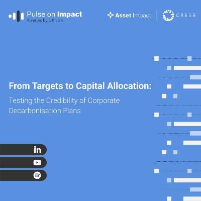 From Targets to Capital Allocation: Testing the Credibility of Corporate Decarbonisation Plans