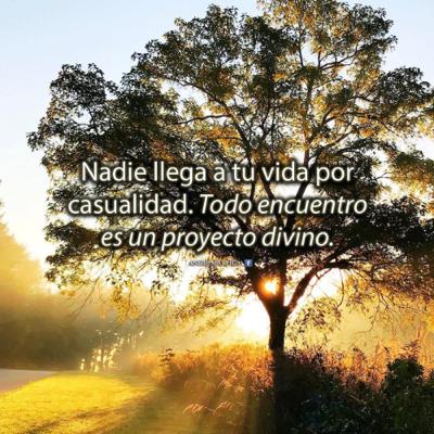 Aceptando y abrazando el presente