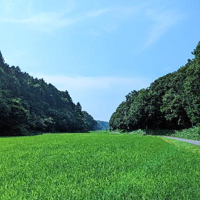 【6-5】全国のお盆行事について紹介 - 盆綱 -【祭りFM】