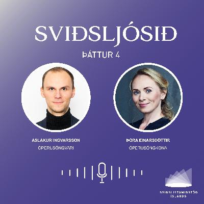 Hvað þýðir að vera óperusöngvari í dag?