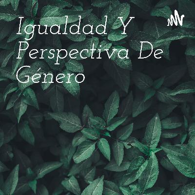 Igualdad y perspectiva de género