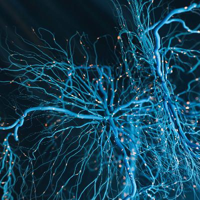 Entre probetas - Neurología, investigación y clínica… - 06/05/25
