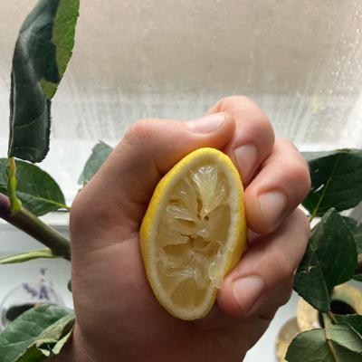 Squeeze the lemon in Tokyo Squeeze the lemon in Tokyo