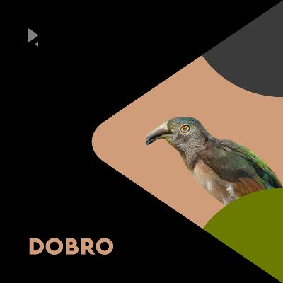 Monolog IV: Dobro