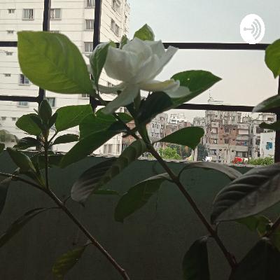 খুকী ও কাঠবিড়ালি | khuki o kathbirali