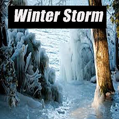 Winter Storm at Lake, Howling Wind & Blowing Snow, Sounds for Sleep, Study & Relaxation - 10 HOURS