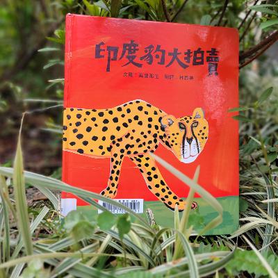 🐆《印度豹大拍賣》🔥 (幽默/豹/藝術/價值/寓言)