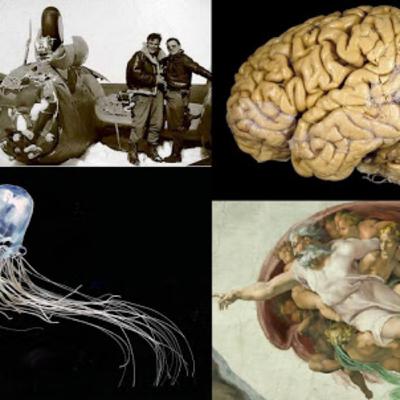 La chica del glaciar, un cerebro oculto en la Capilla Sixtina, caminar sobre mercurio y la criatura más venenosa