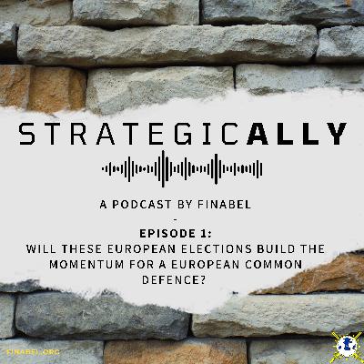 Will these European elections build the momentum for a European common defence?