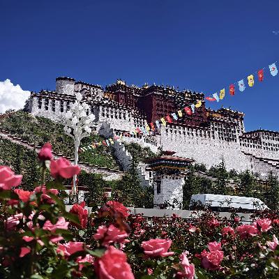 President Xi in Lhasa to mark 60th founding anniversary of Xizang Autonomous Region