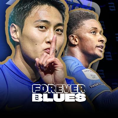 Birmingham City | The "Bad Boys" of the Championship? Watford Review & Southampton Preview Birmingham City | The "Bad Boys" of the Championship? Watford Review & Southampton Preview
