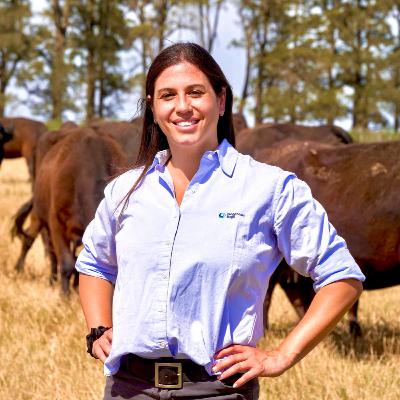 “Sanidad de los terneros al pie de la madre” “Sanidad de los terneros al pie de la madre”