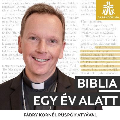 90. nap: Rut és Boász – Biblia egy év alatt podcast 90. nap: Rut és Boász – Biblia egy év alatt podcast