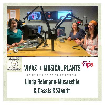 ENGLISH BREAKFAST - Vivas & Musical Plants