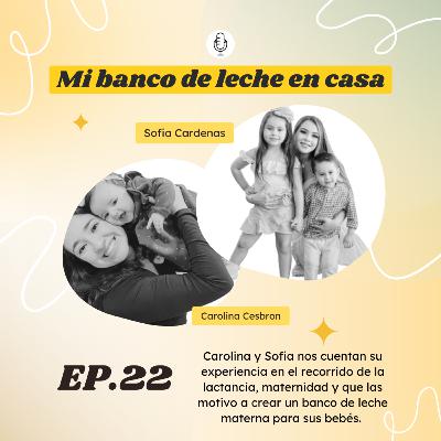 T2. Ep 22. Mi banco de leche en casa