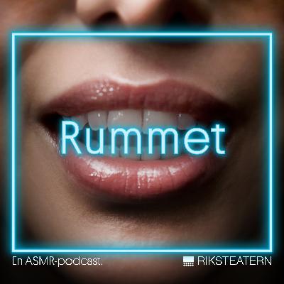 Trailer för Rummet, en ASMR-upplevelse
