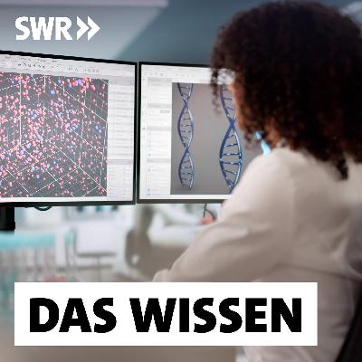 Weg von Trump – Wie Deutschland US-Forscher anlocken will