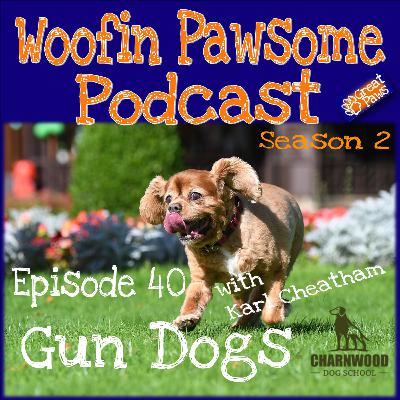 Gun Dogs with Karl Cheatham - Episode 40 Gun Dogs with Karl Cheatham - Episode 40
