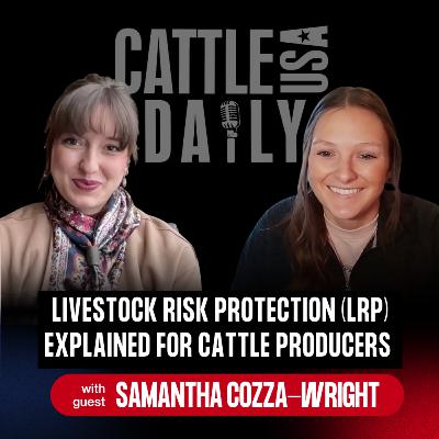 257: Livestock Risk Protection (LRP) Explained for Cattle Producers with Samantha Cozza-Wright
