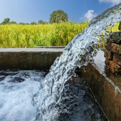 Streaming Data Governance: Three Must-Have Requirements to Support AI/ML Innovation - Audio Blog